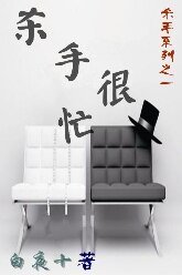 《殺手很忙(殺手系列之一)》