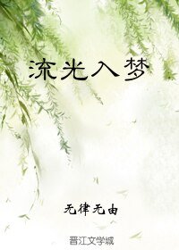 流光入夢/假如重生是場夢(流光)