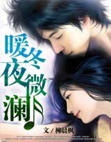 暖冬夜微澜:总裁的神秘情人