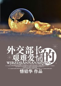 艱難愛情/外交部長的艱難愛情