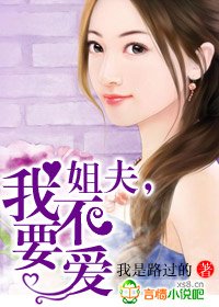 姐夫,我不要愛