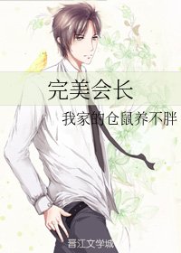 完美会长