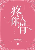 《疼你入骨》