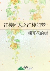 紅樓同人之紅樓如夢