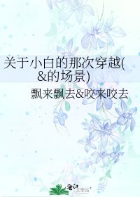 關於小摆的那次穿越(&的場景)