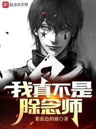 《(全職獵人同人)獵人:我真不是除念師》