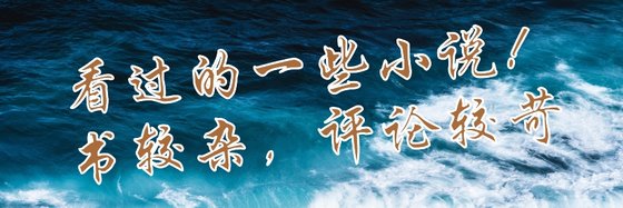 看過的一些小說！書較雜，評論較苛